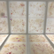 Image: Ryan F Mandelbaum/Anicka Yi/The Guggenheim Museum